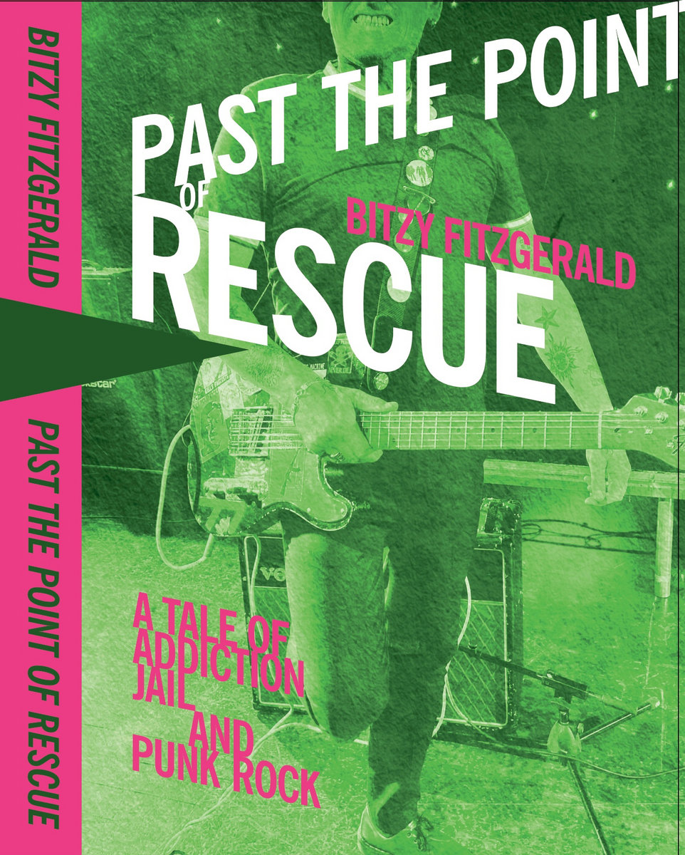 Past the Point of Rescue by Bitzy Fitzgerald — book cover